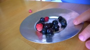 Marjoja ahmittiin joka päivä.